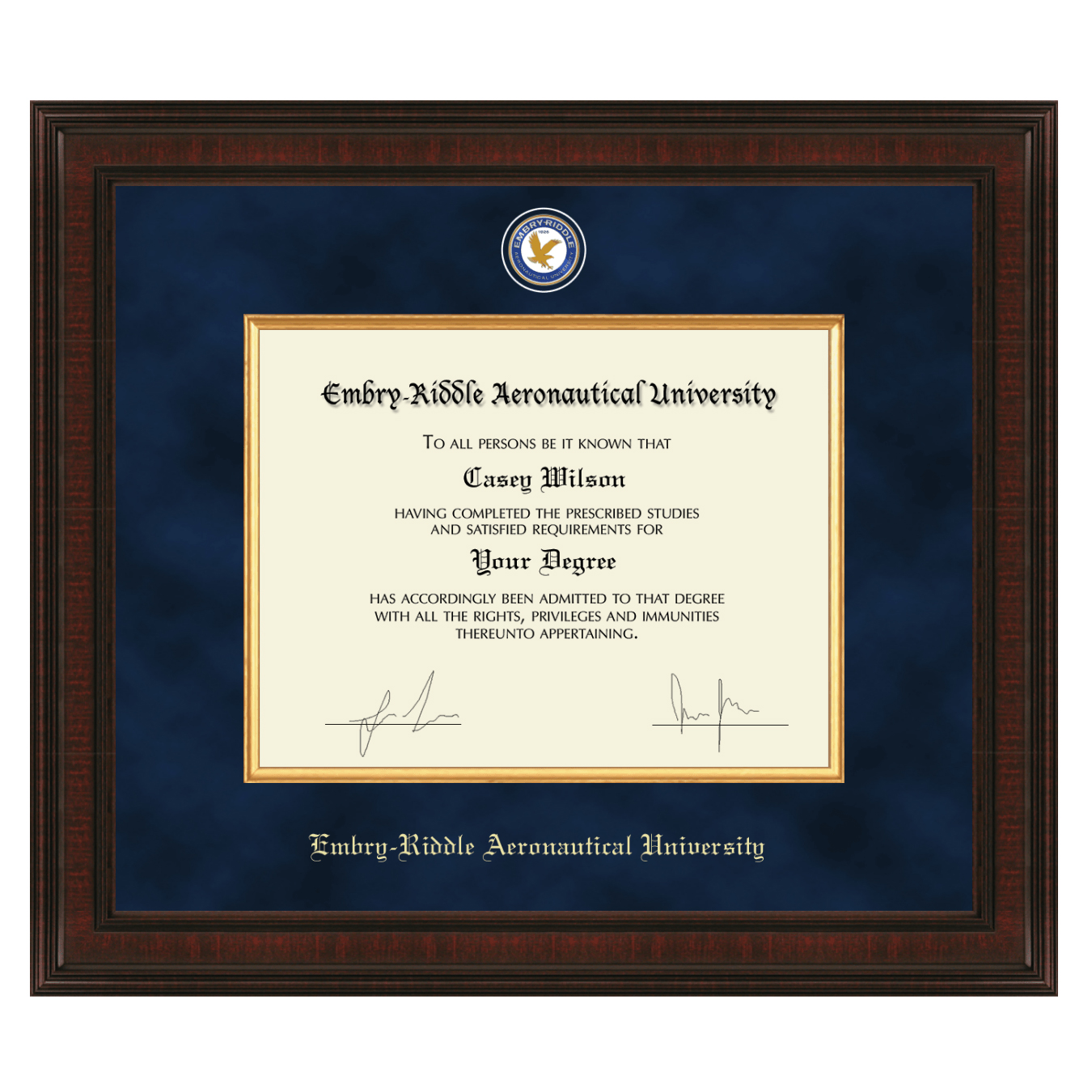 Embry-Riddle Excelsior Frame