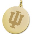 Indiana University 18K Gold Charm - Image 2