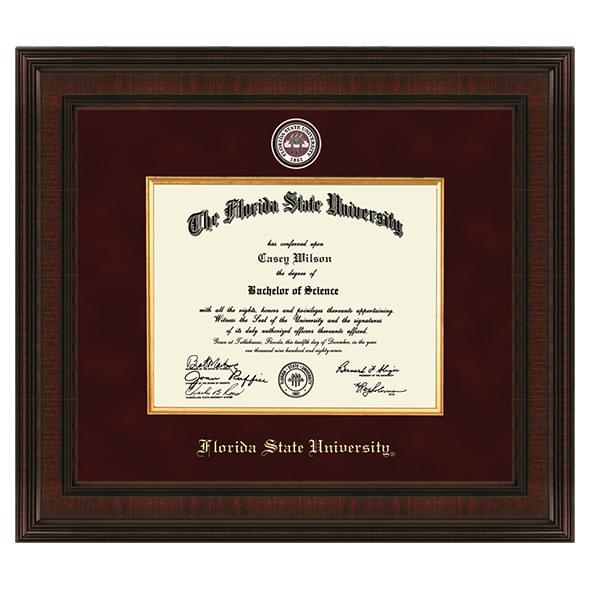 Florida State Excelsior Frame