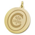 Clemson 14K Gold Charm - Image 2