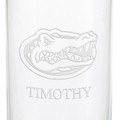 Florida Gators Iced Beverage Glasses - Set of 4 - Image 3