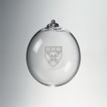 HBS Glass Ornament by Simon Pearce - Image 1