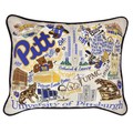 Pitt Embroidered Pillow - Image 1