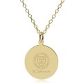 SC Johnson College 14K Gold Pendant & Chain - Image 1