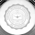 Central Michigan Pewter Paperweight - Image 2