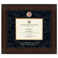 Tepper Diploma Frame - Excelsior - Image 1