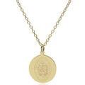 Tennessee 14K Gold Pendant & Chain - Image 2