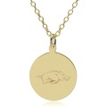 Arkansas Razorbacks 14K Gold Pendant & Chain - Image 1