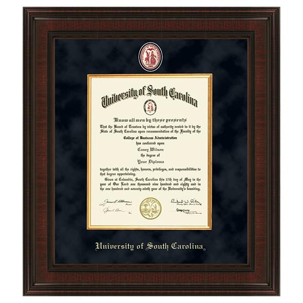 South Carolina Excelsior Frame