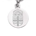 Brown Sterling Silver Charm - Image 1