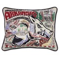 Arkansas Embroidered Pillow - Image 1