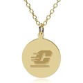 Central Michigan 14K Gold Pendant & Chain - Image 1