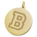 Bucknell 14K Gold Charm - Image 2