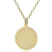 Auburn 14K Gold Pendant & Chain