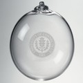 UConn Glass Ornament by Simon Pearce - Image 2