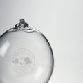 Michigan State University Glass Ornament by Simon Pearce - Image 2