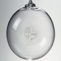 Creighton Glass Ornament by Simon Pearce - Image 2