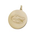 Florida Gators 14K Gold Charm - Image 1