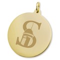 Siena 14K Gold Charm - Image 2