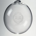 Yale Glass Ornament by Simon Pearce - Image 2