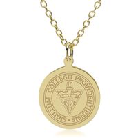 Providence 14K Gold Pendant & Chain