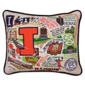 Illinois Embroidered Pillow - Image 1