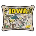 Iowa Embroidered Pillow - Image 1