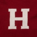Harvard Maroon and Ivory Letter Sweater by M.LaHart - Image 2