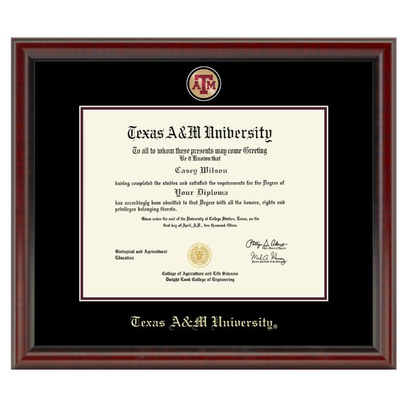 Texas A&M Diploma Frame - Masterpiece - Image 1