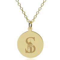 Siena 14K Gold Pendant & Chain
