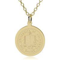 UC Irvine 14K Gold Pendant & Chain
