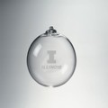 Illinois Glass Ornament by Simon Pearce - Image 1