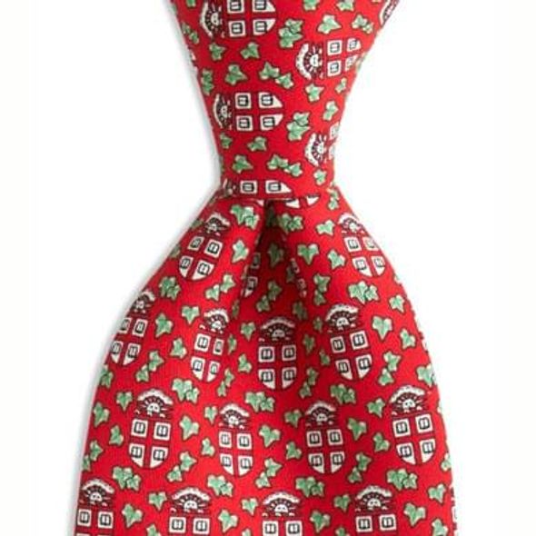 Brown University Vineyard Vine tie in Red