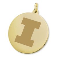 Illinois 14K Gold Charm