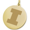 Illinois 14K Gold Charm - Image 2