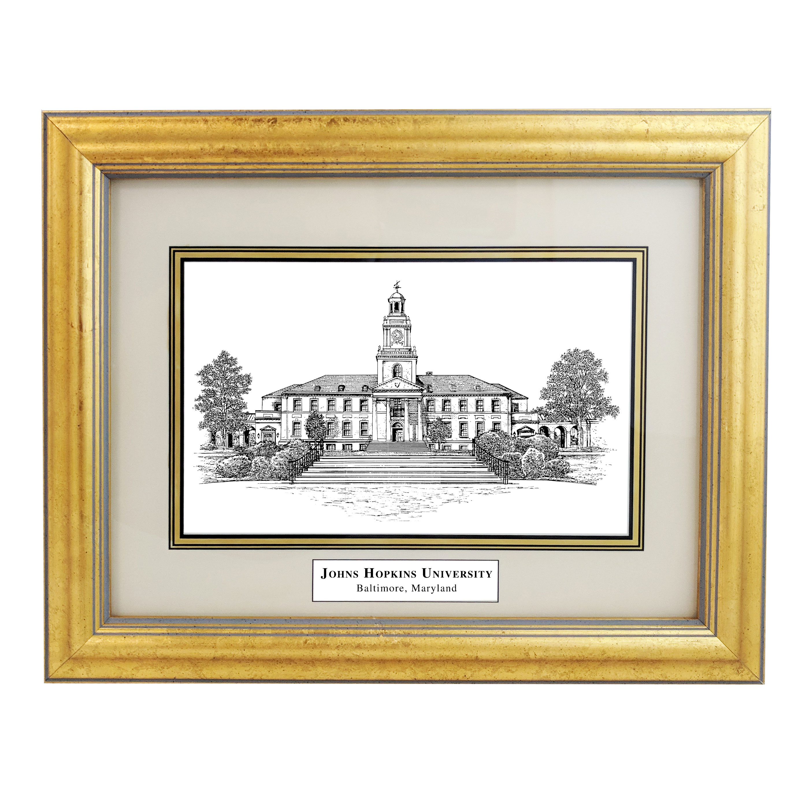Framed Pen and Ink Johns Hopkins University Print