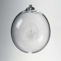 Davidson Glass Ornament by Simon Pearce - Image 1