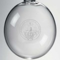 Davidson Glass Ornament by Simon Pearce - Image 2