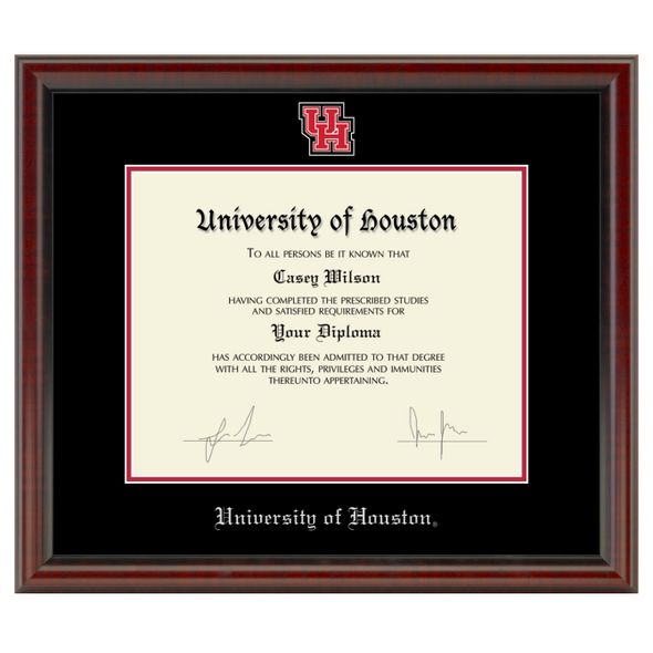Houston Diploma Frame - Masterpiece - Image 1