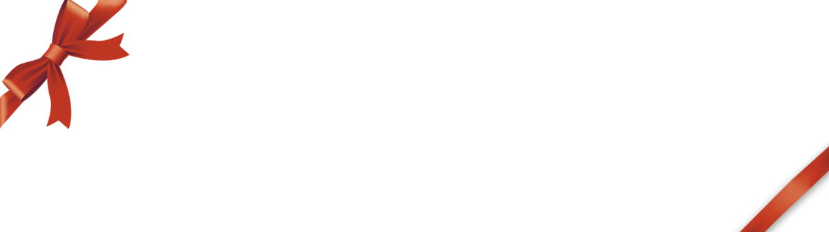 2023 Holiday Gift Guide